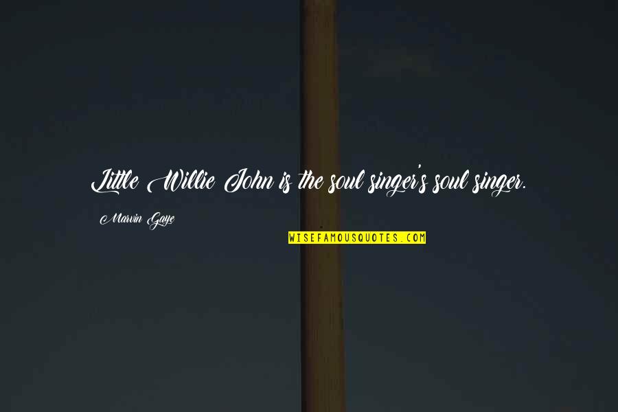 Silverline Quotes By Marvin Gaye: Little Willie John is the soul singer's soul