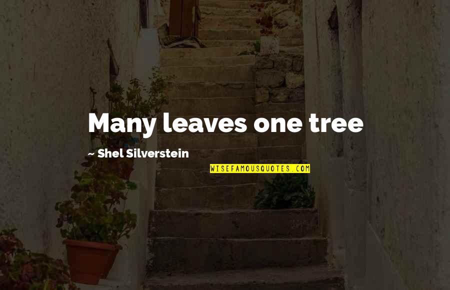 Silverstein Quotes By Shel Silverstein: Many leaves one tree