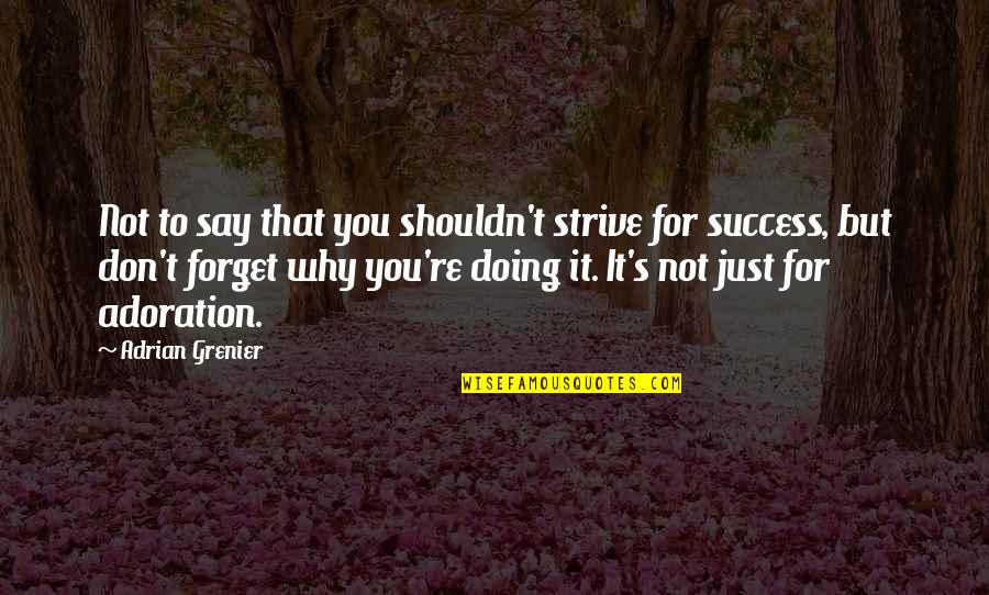 Silverstream Quotes By Adrian Grenier: Not to say that you shouldn't strive for