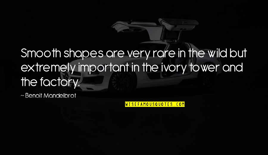 Silvester 2021 Quotes By Benoit Mandelbrot: Smooth shapes are very rare in the wild Silvester 2021 Quotes By Benoit Mandelbrot: Smooth shapes are very rare in the wild