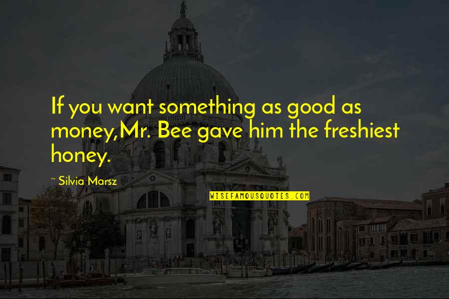 Silvia's Quotes By Silvia Marsz: If you want something as good as money,Mr.