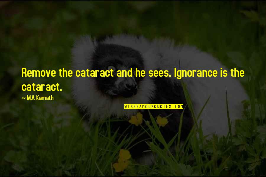 Simesa Quotes By M.V. Kamath: Remove the cataract and he sees. Ignorance is