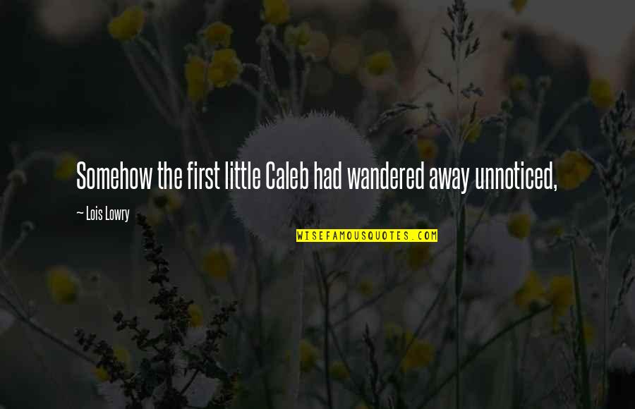 Similarities And Differences Quotes By Lois Lowry: Somehow the first little Caleb had wandered away