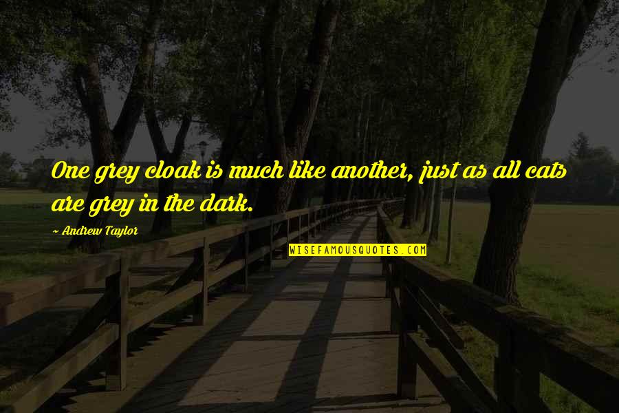 Similarity Quotes By Andrew Taylor: One grey cloak is much like another, just