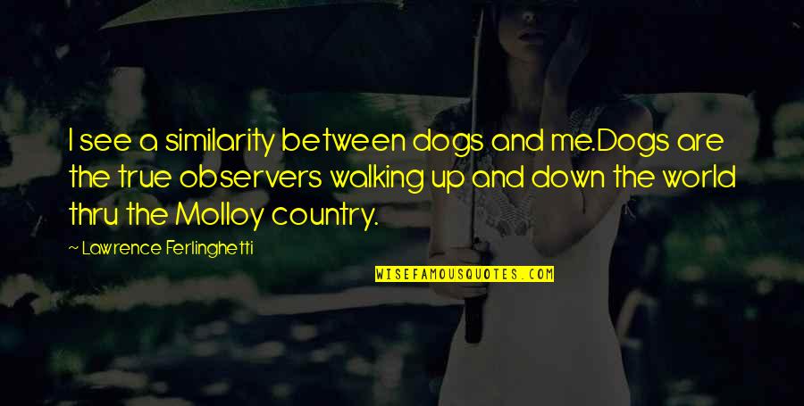 Similarity Quotes By Lawrence Ferlinghetti: I see a similarity between dogs and me.Dogs