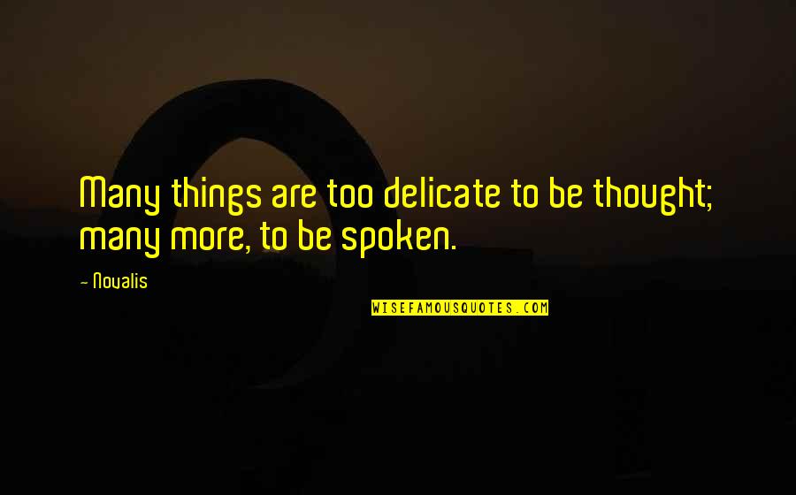 Simmel Metropolis Quotes By Novalis: Many things are too delicate to be thought;