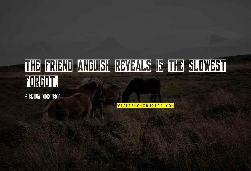 Simmental Quotes By Emily Dickinson: The friend anguish reveals is the slowest forgot.