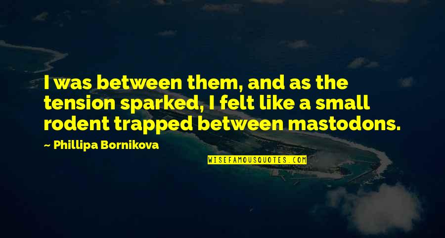 Simmi Thakur Quotes By Phillipa Bornikova: I was between them, and as the tension Simmi Thakur Quotes By Phillipa Bornikova: I was between them, and as the tension