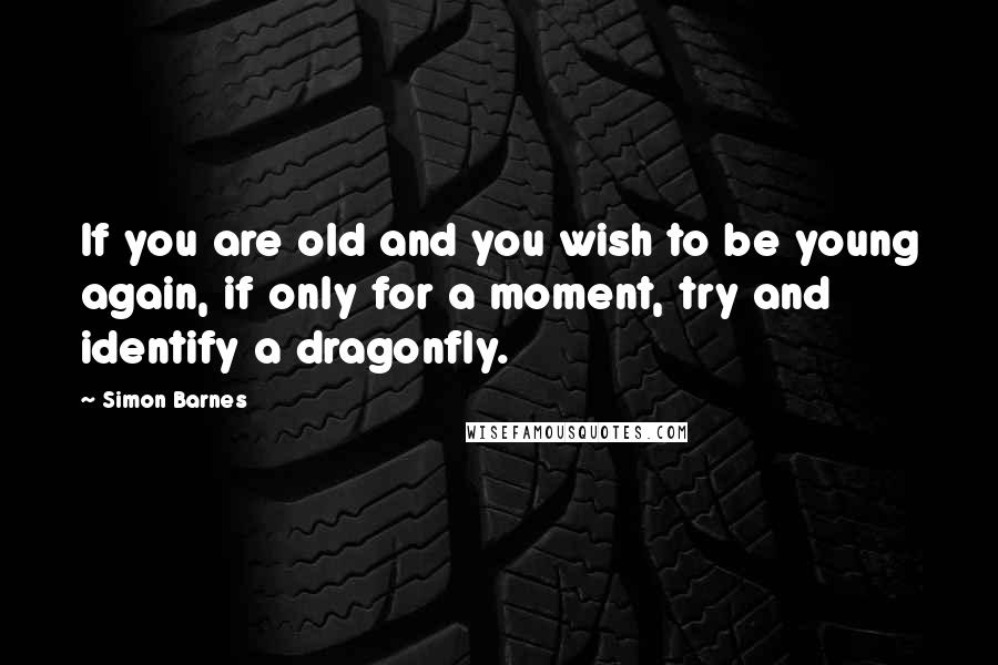 Simon Barnes quotes: If you are old and you wish to be young again, if only for a moment, try and identify a dragonfly.