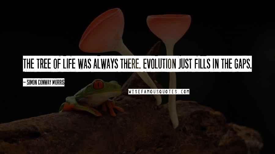 Simon Conway Morris quotes: The tree of life was always there. Evolution just fills in the gaps.