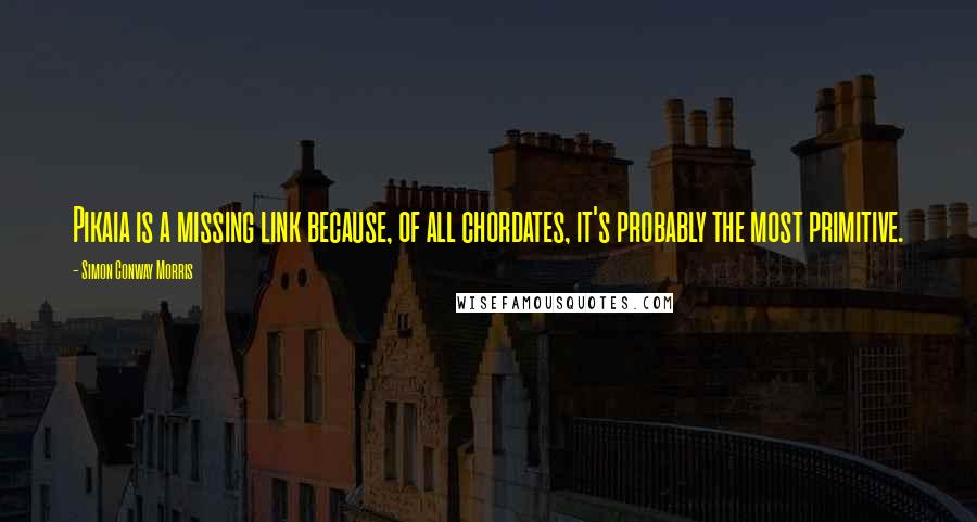 Simon Conway Morris quotes: Pikaia is a missing link because, of all chordates, it's probably the most primitive.