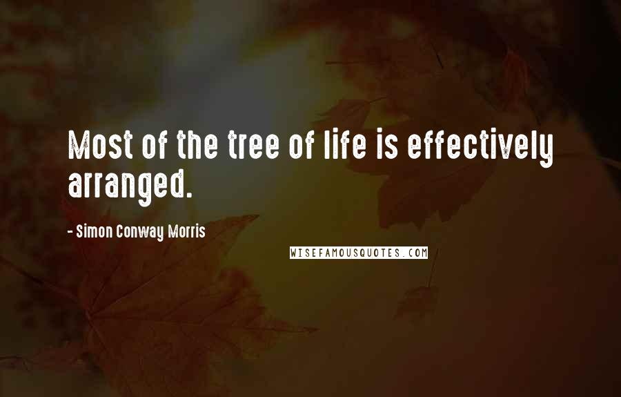 Simon Conway Morris quotes: Most of the tree of life is effectively arranged.