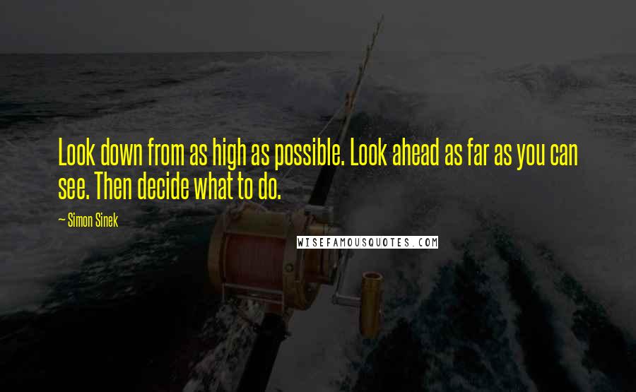 Simon Sinek quotes: Look down from as high as possible. Look ahead as far as you can see. Then decide what to do.