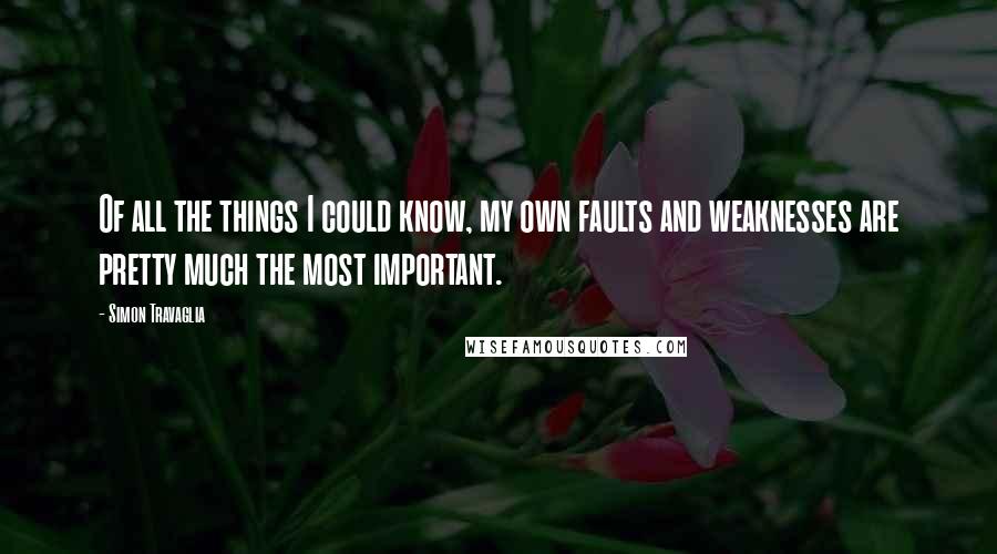 Simon Travaglia quotes: Of all the things I could know, my own faults and weaknesses are pretty much the most important.