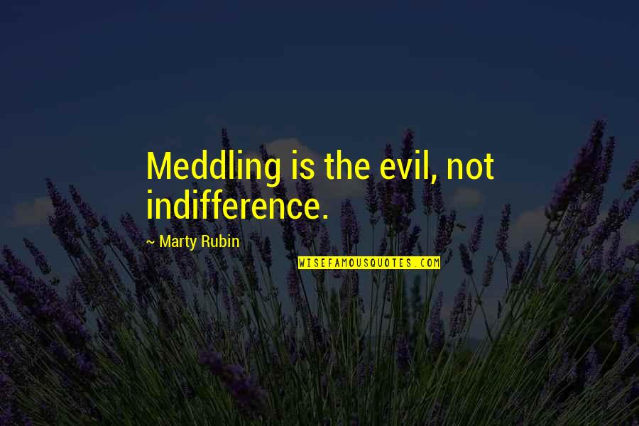 Simon Wiesenthal The Sunflower Quotes By Marty Rubin: Meddling is the evil, not indifference.