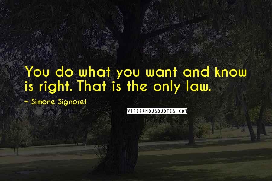 Simone Signoret quotes: You do what you want and know is right. That is the only law.