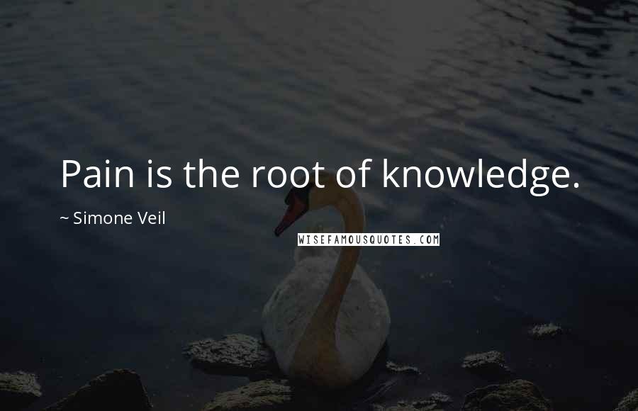Simone Veil quotes: Pain is the root of knowledge.