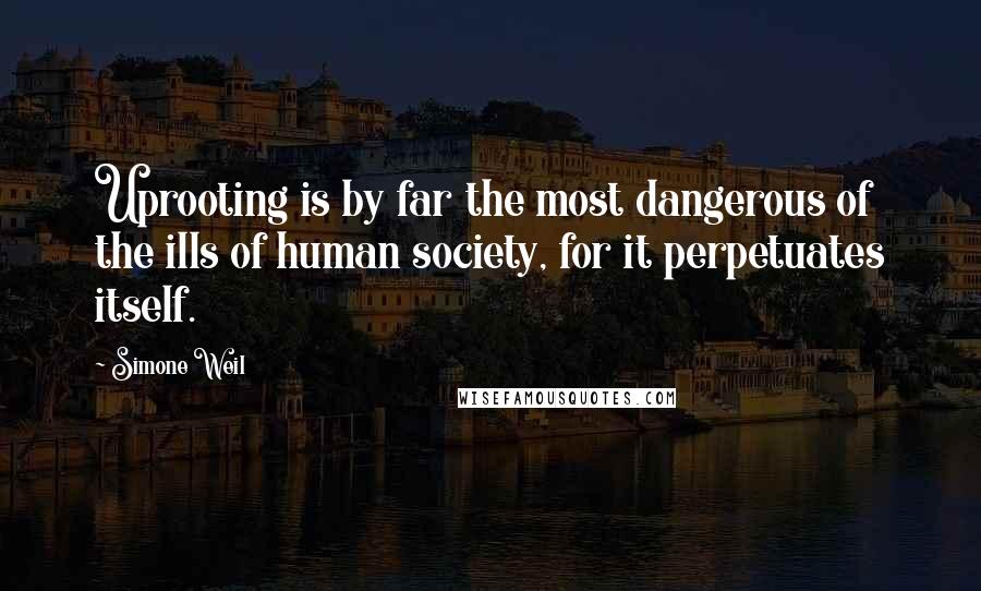 Simone Weil quotes: Uprooting is by far the most dangerous of the ills of human society, for it perpetuates itself.