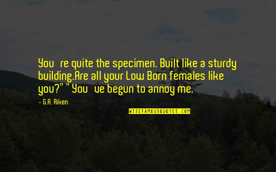 Simpering Quotes By G.A. Aiken: You're quite the specimen. Built like a sturdy