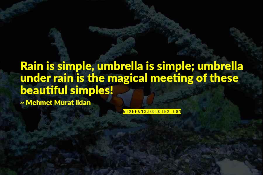 Simple Beautiful Quotes By Mehmet Murat Ildan: Rain is simple, umbrella is simple; umbrella under