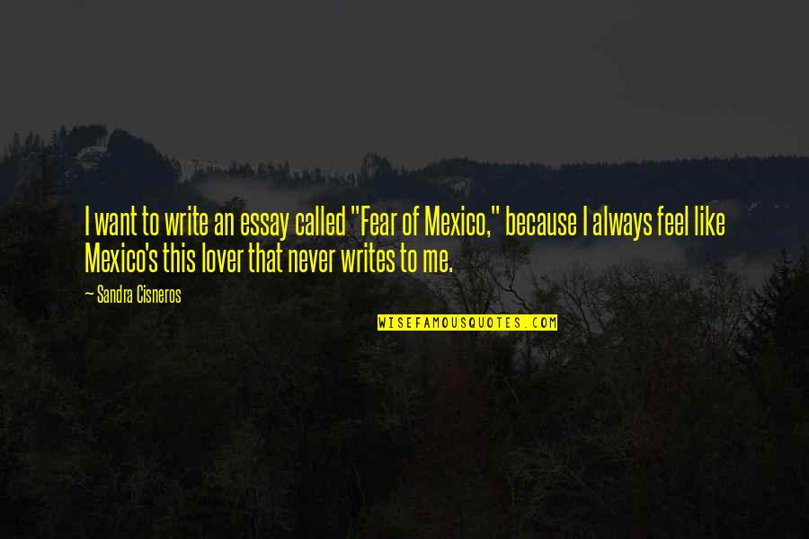 Simple But Deep Life Quotes By Sandra Cisneros: I want to write an essay called "Fear