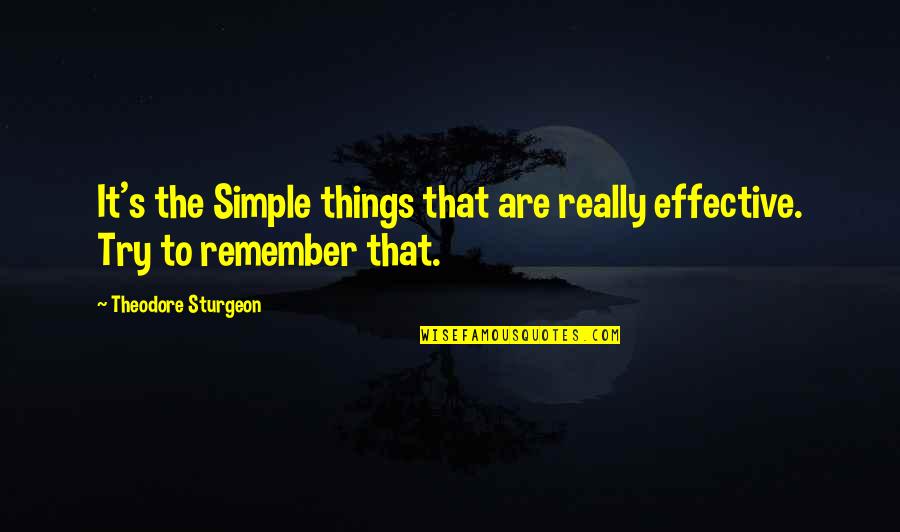 Simple But Effective Quotes By Theodore Sturgeon: It's the Simple things that are really effective.