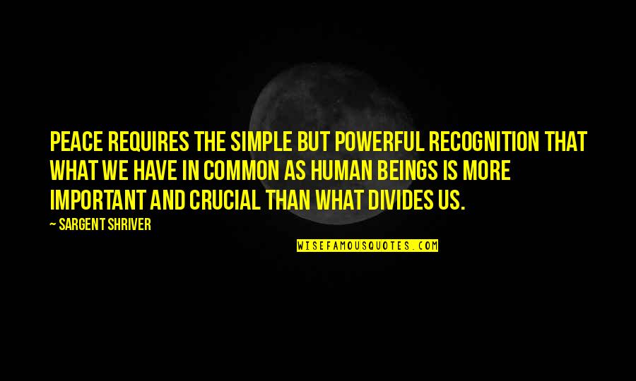 Simple But Important Quotes By Sargent Shriver: Peace requires the simple but powerful recognition that