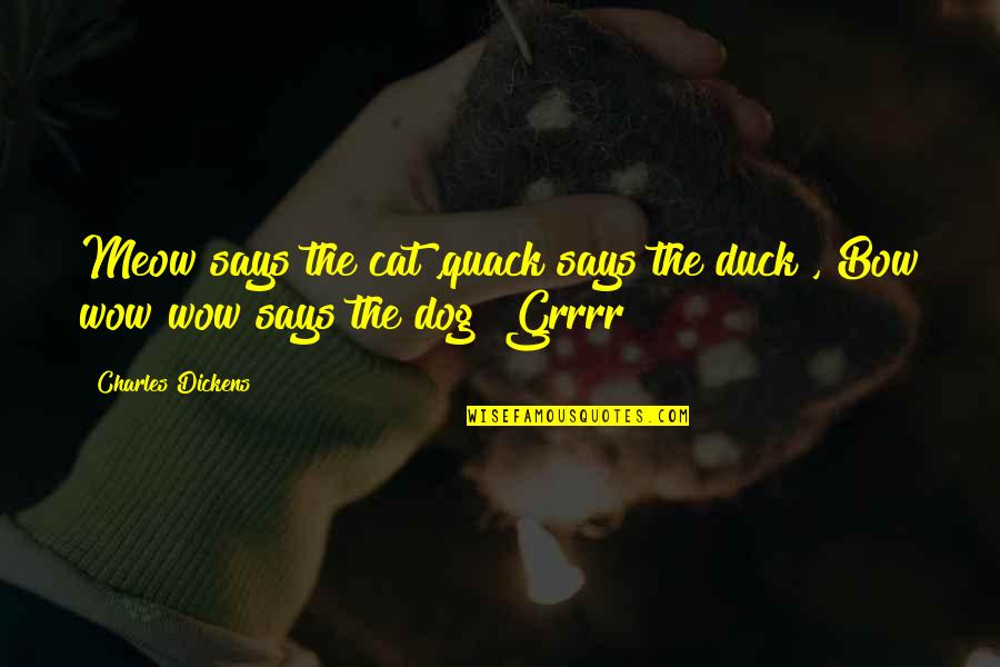 Simple But Not Simpler Quote Quotes By Charles Dickens: Meow says the cat ,quack says the duck