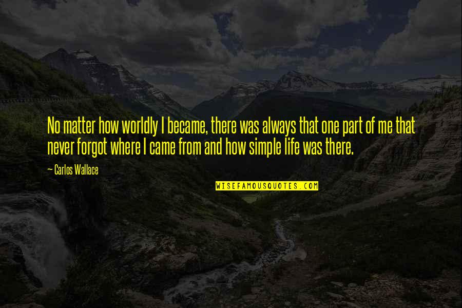 Simple Life Philosophy Quotes By Carlos Wallace: No matter how worldly I became, there was