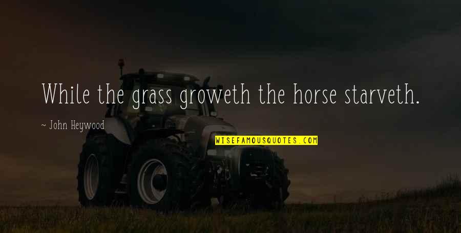 Simple Minded Females Quotes By John Heywood: While the grass groweth the horse starveth.