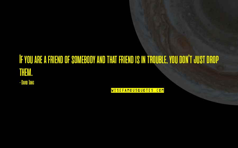 Simple Presents Quotes By David Tang: If you are a friend of somebody and