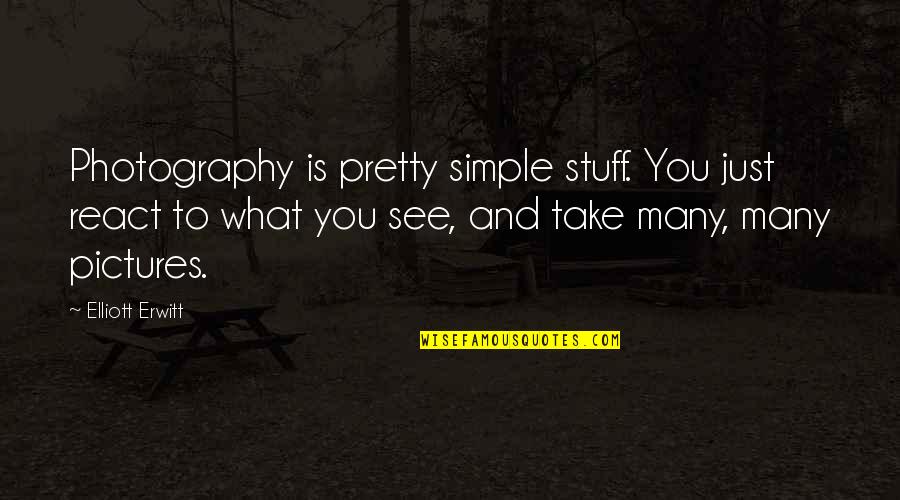 Simple Simple Quotes By Elliott Erwitt: Photography is pretty simple stuff. You just react