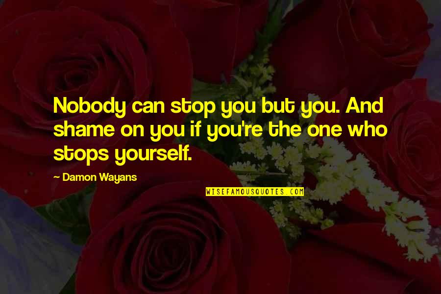 Simple Witty Quotes By Damon Wayans: Nobody can stop you but you. And shame