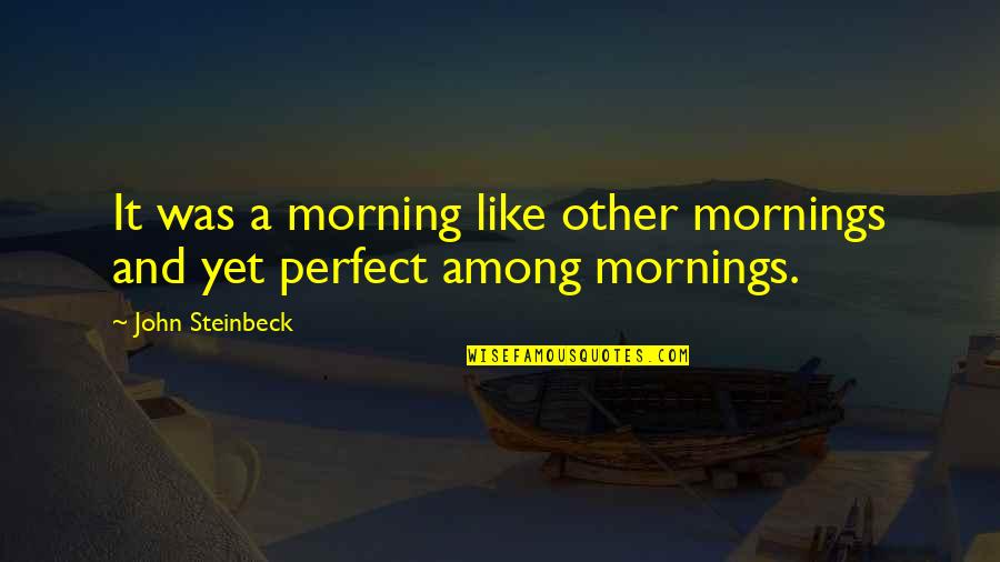 Simplicity And Nature Quotes By John Steinbeck: It was a morning like other mornings and