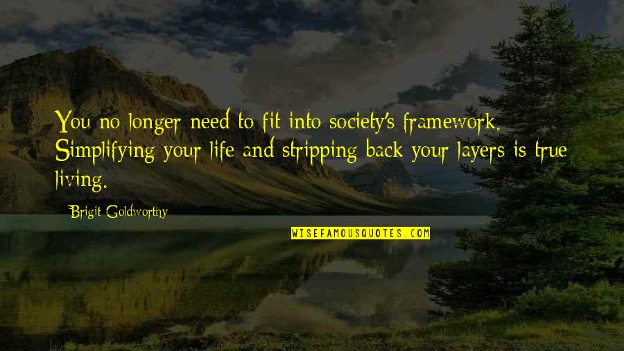 Simplifying Your Life Quotes By Brigit Goldworthy: You no longer need to fit into society's