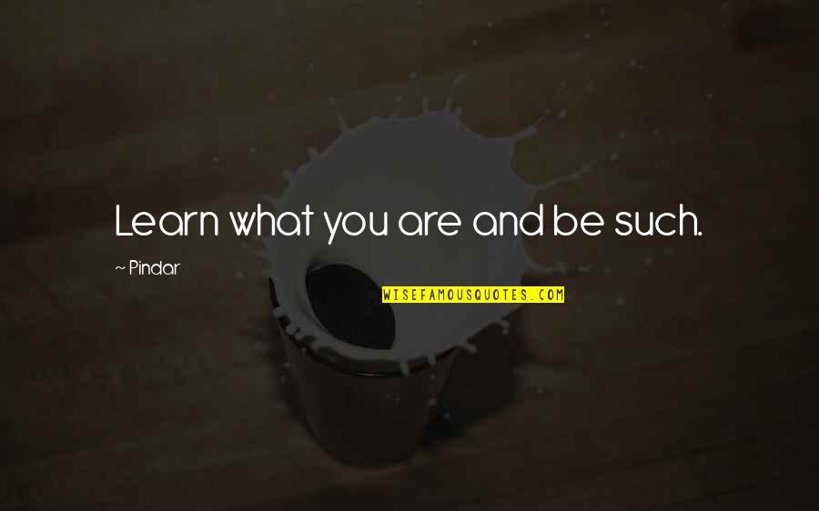 Simply Good News Quotes By Pindar: Learn what you are and be such. Simply Good News Quotes By Pindar: Learn what you are and be such.