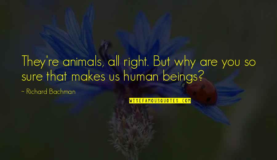 Simpsons Sector 7g Quotes By Richard Bachman: They're animals, all right. But why are you