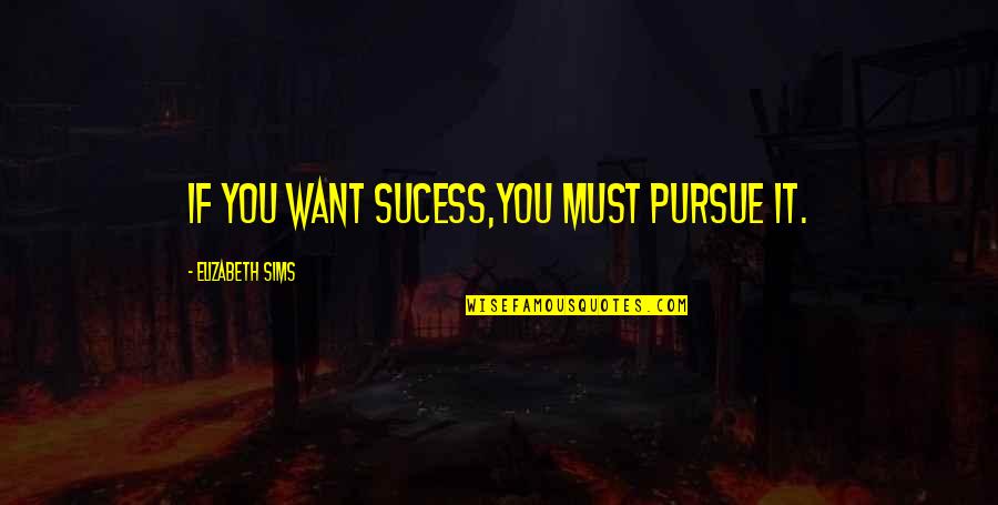 Sims 2 Quotes By Elizabeth Sims: If you want sucess,you must pursue it.