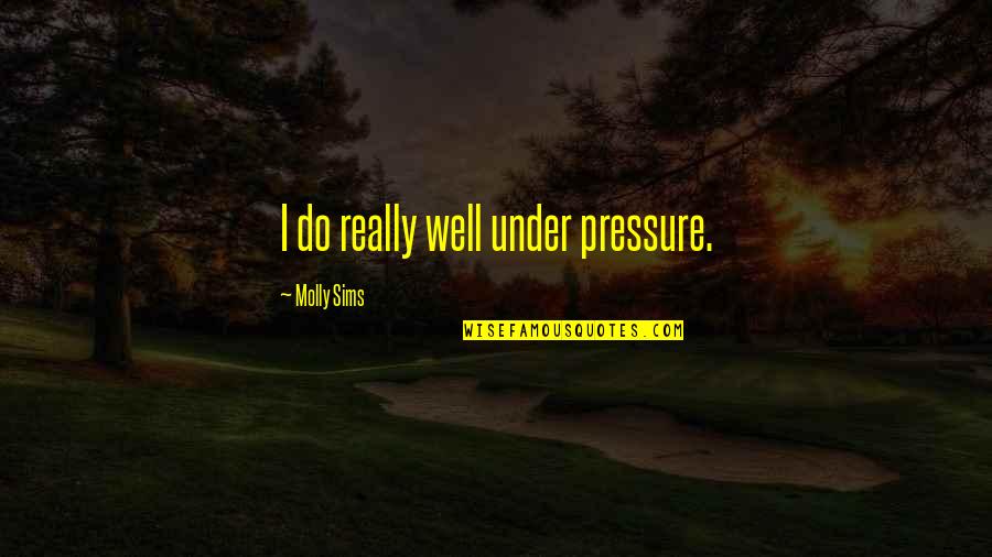 Sims 2 Quotes By Molly Sims: I do really well under pressure.