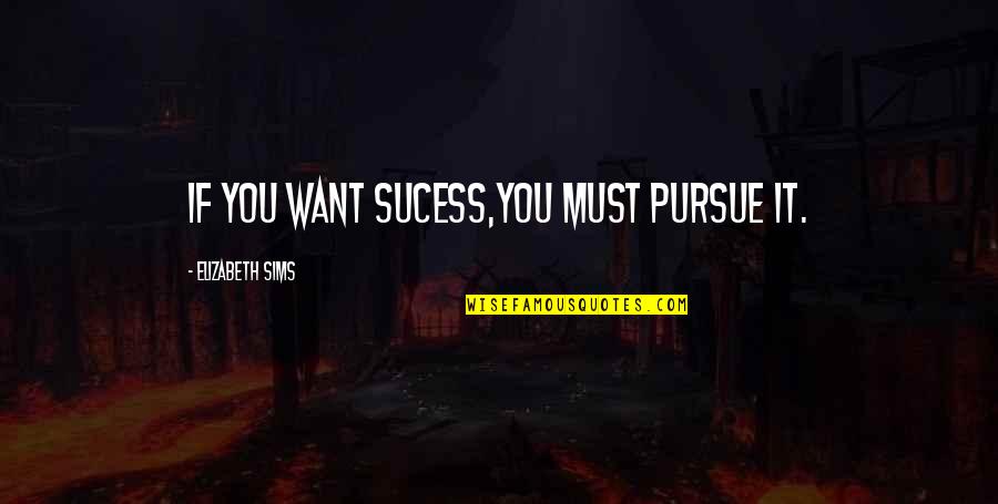 Sims 3 Quotes By Elizabeth Sims: If you want sucess,you must pursue it.