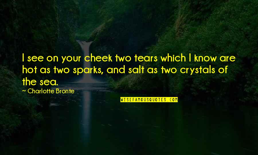 Sincrona Wikipedia Quotes By Charlotte Bronte: I see on your cheek two tears which