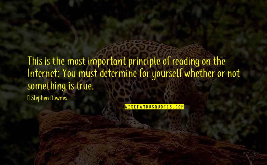 Sindaco De Luca Quotes By Stephen Downes: This is the most important principle of reading Sindaco De Luca Quotes By Stephen Downes: This is the most important principle of reading