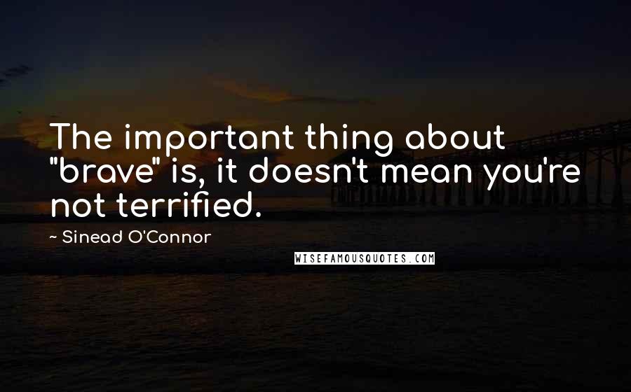 Sinead O'Connor quotes: The important thing about "brave" is, it doesn't mean you're not terrified.