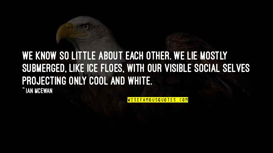 Sinek Partners Quotes By Ian McEwan: We know so little about each other. We Sinek Partners Quotes By Ian McEwan: We know so little about each other. We
