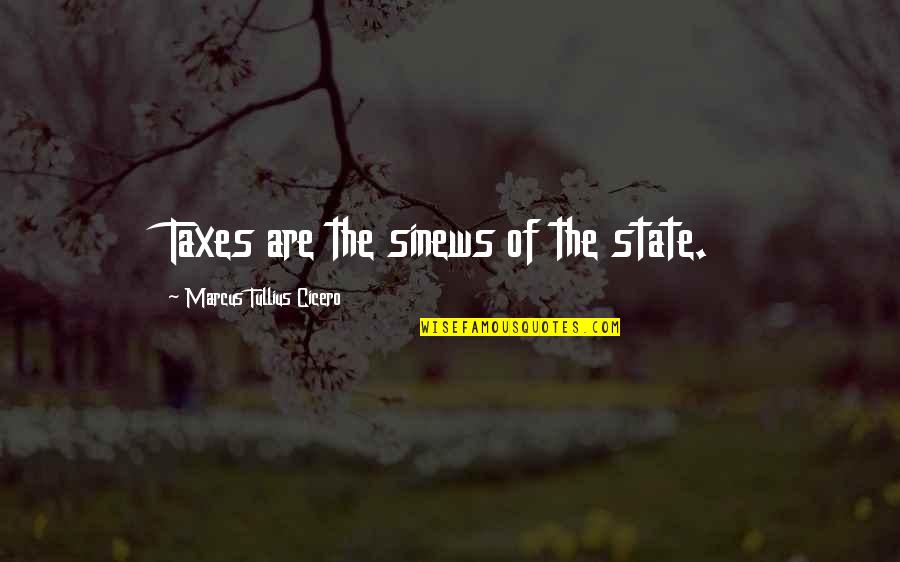 Sinews Quotes By Marcus Tullius Cicero: Taxes are the sinews of the state.