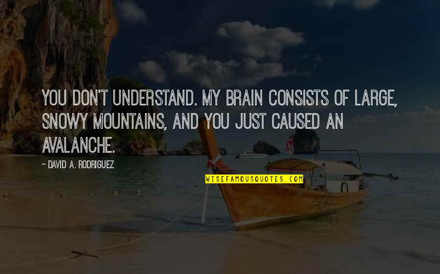 Sinfni Quotes By David A. Rodriguez: You don't understand. My brain consists of large, Sinfni Quotes By David A. Rodriguez: You don't understand. My brain consists of large,