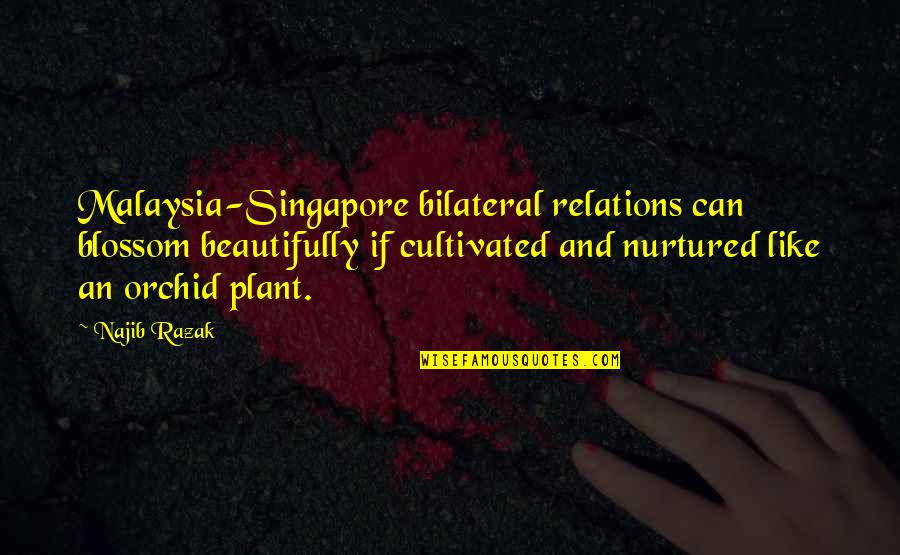 Singapore's Quotes By Najib Razak: Malaysia-Singapore bilateral relations can blossom beautifully if cultivated