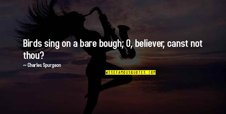 Singing Birds Quotes By Charles Spurgeon: Birds sing on a bare bough; O, believer, Singing Birds Quotes By Charles Spurgeon: Birds sing on a bare bough; O, believer,