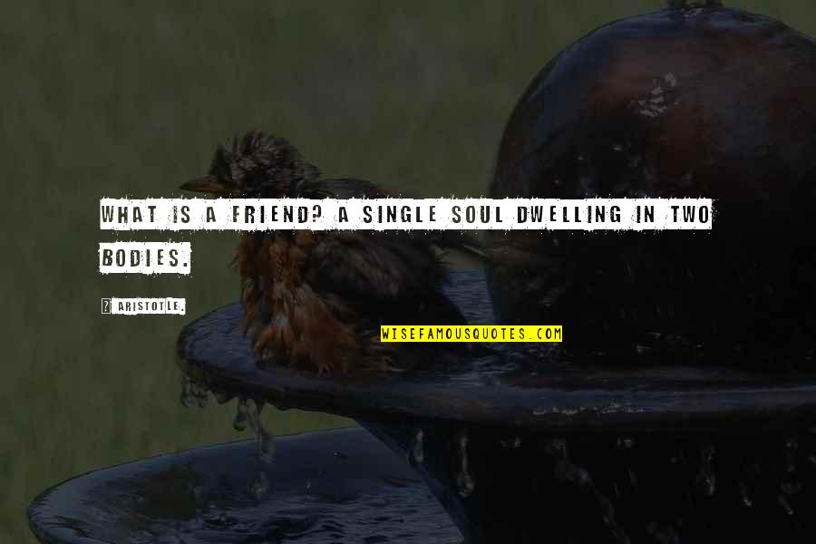 Single Best Friend Quotes By Aristotle.: What is a friend? A single soul dwelling