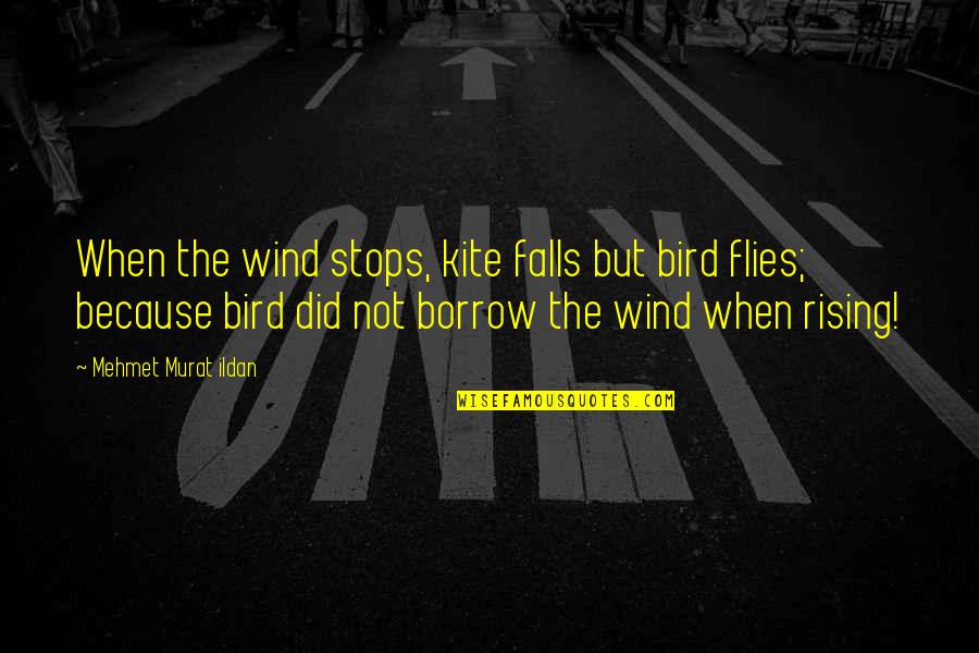 Single Child Pain Quotes By Mehmet Murat Ildan: When the wind stops, kite falls but bird Single Child Pain Quotes By Mehmet Murat Ildan: When the wind stops, kite falls but bird